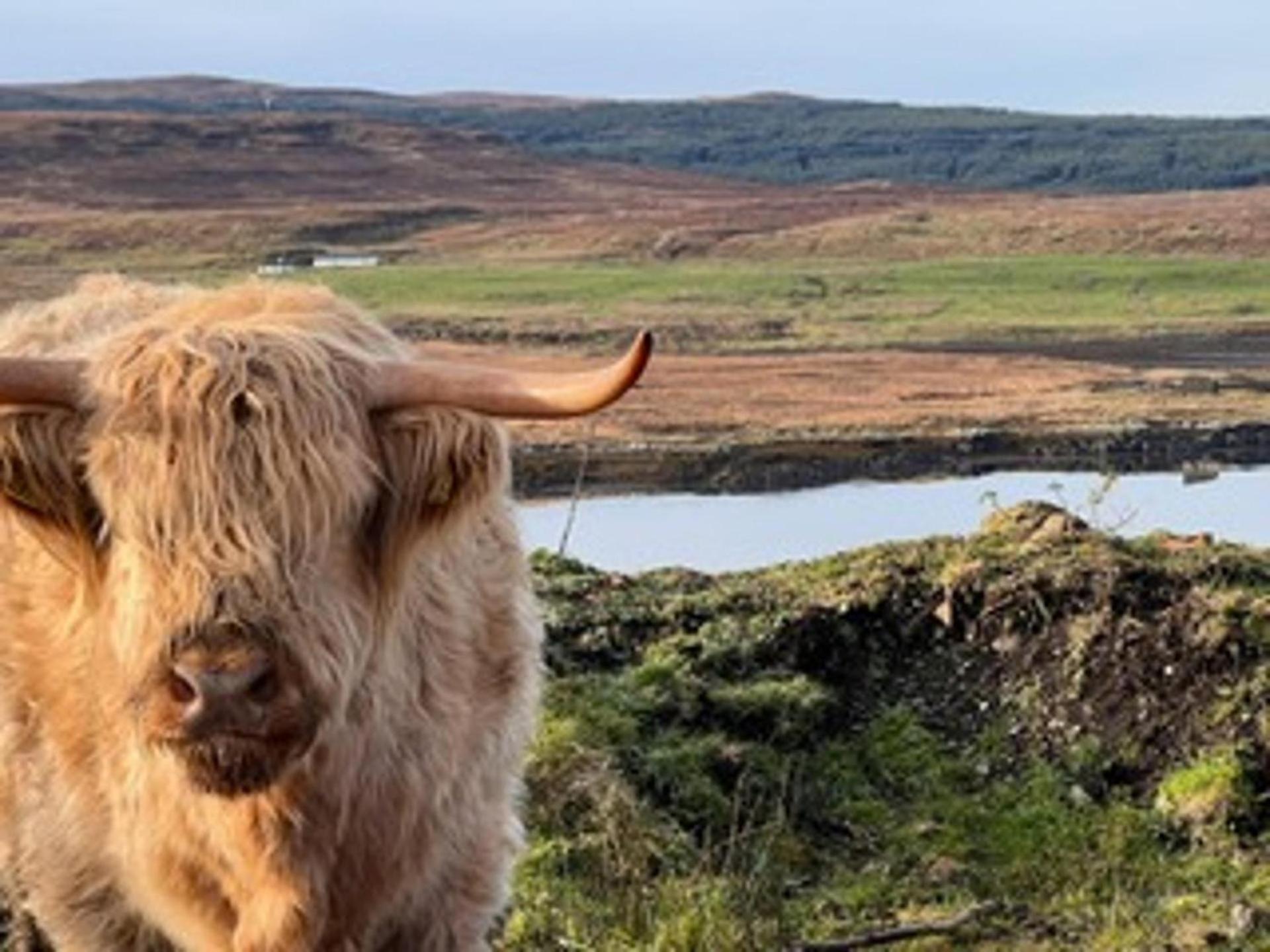 No 4 Old Post Office Row Isle Of Skye - Book Now! Villa Eyre Kültér fotó